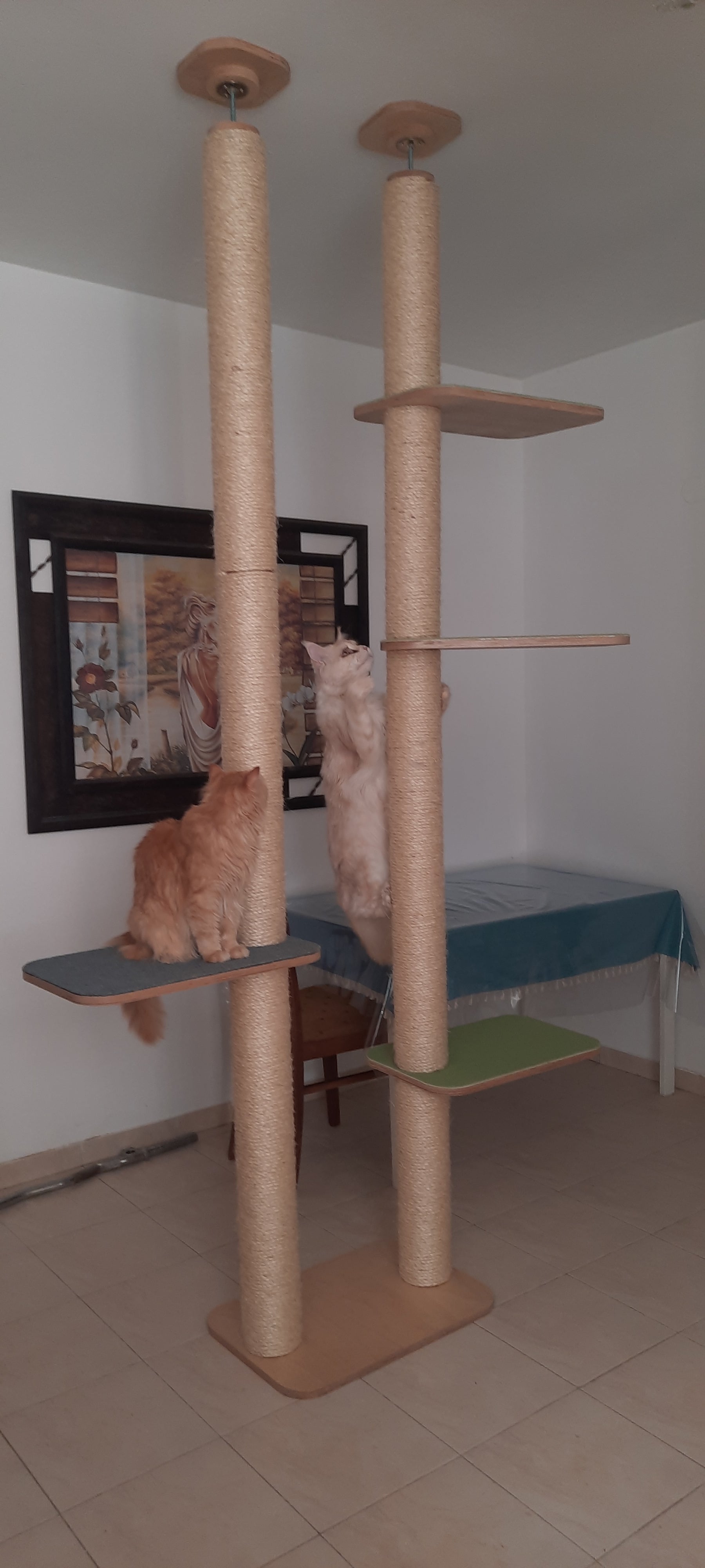 מתקן כפול לתקרה ללא קידוח