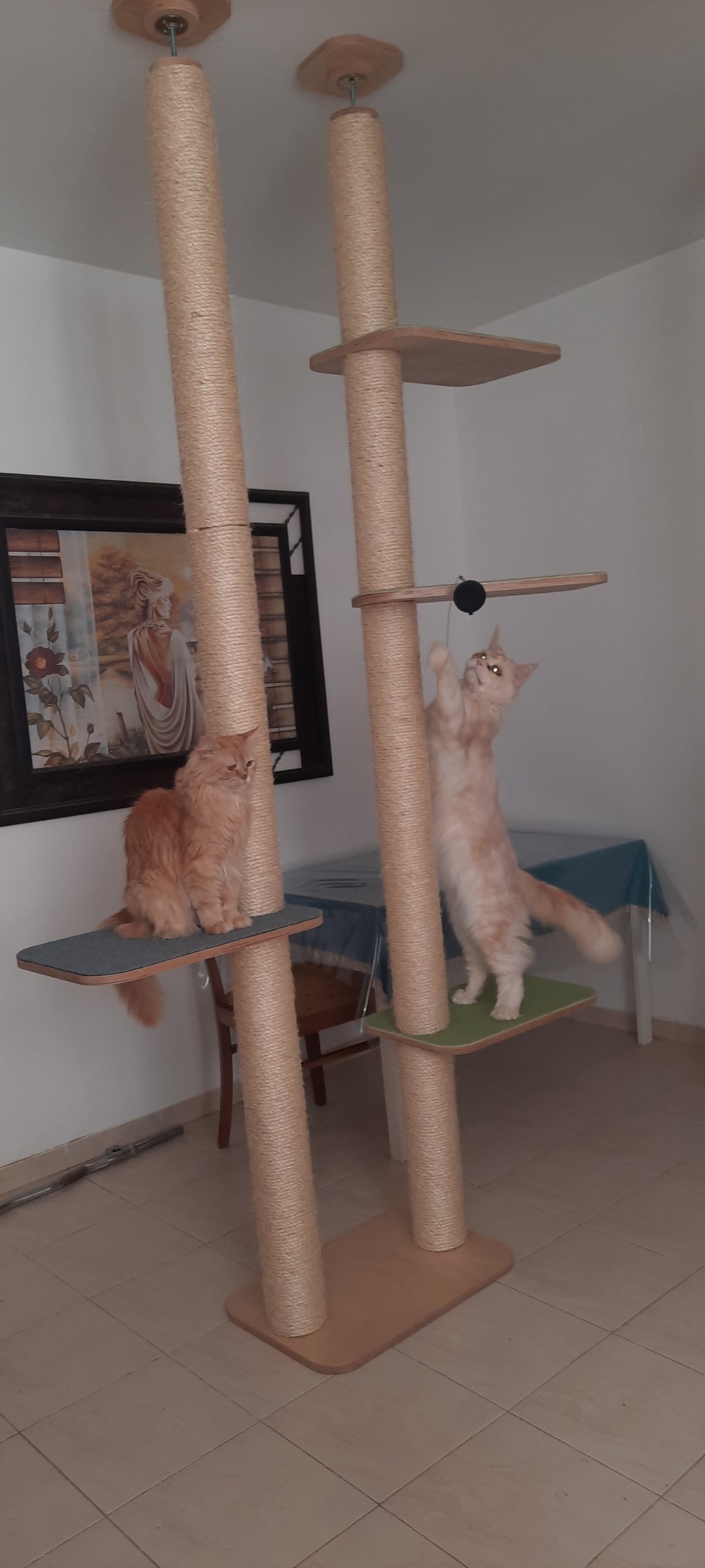 מתקן כפול לתקרה ללא קידוח