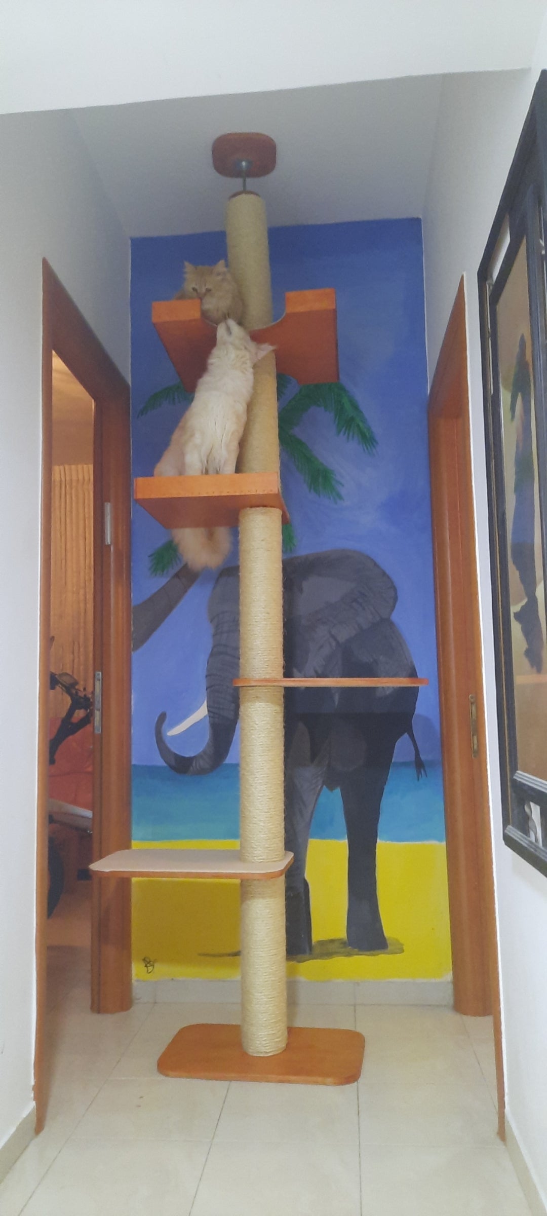 מתקן טיפוס  לתקרה ללא קידוח 4 מדפים  עם מעקה